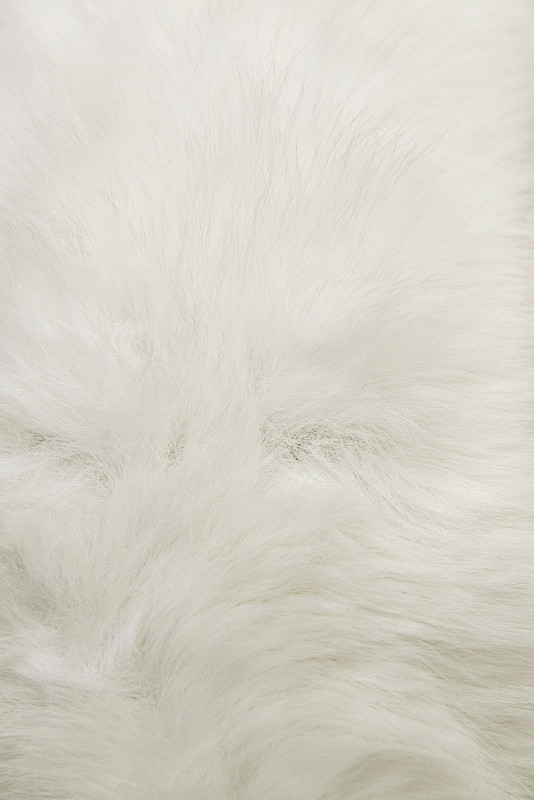 Zimska jakna s pasom in krznom bela