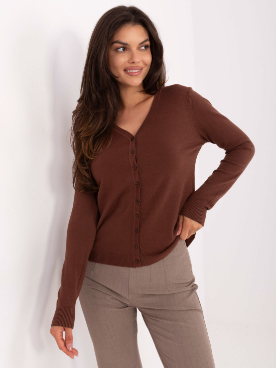 Rjav pulover z V-izrezom