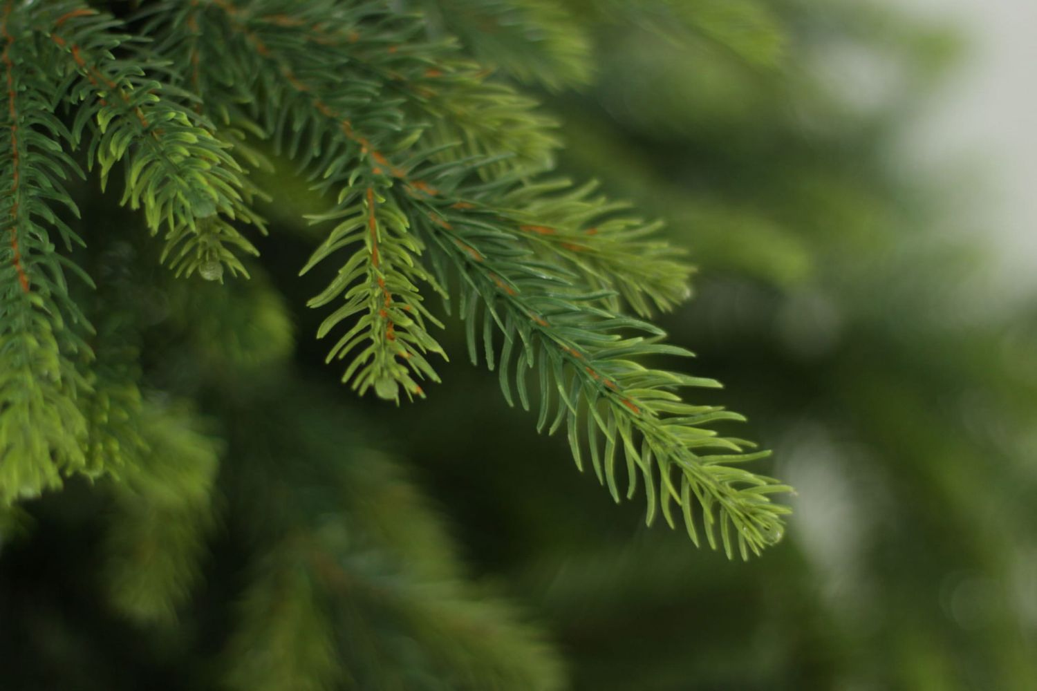 Umetno drevo Smreka NATURA 120 cm