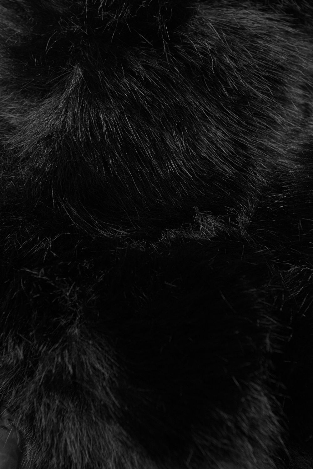 Zimska jakna s pasom in krznom črna