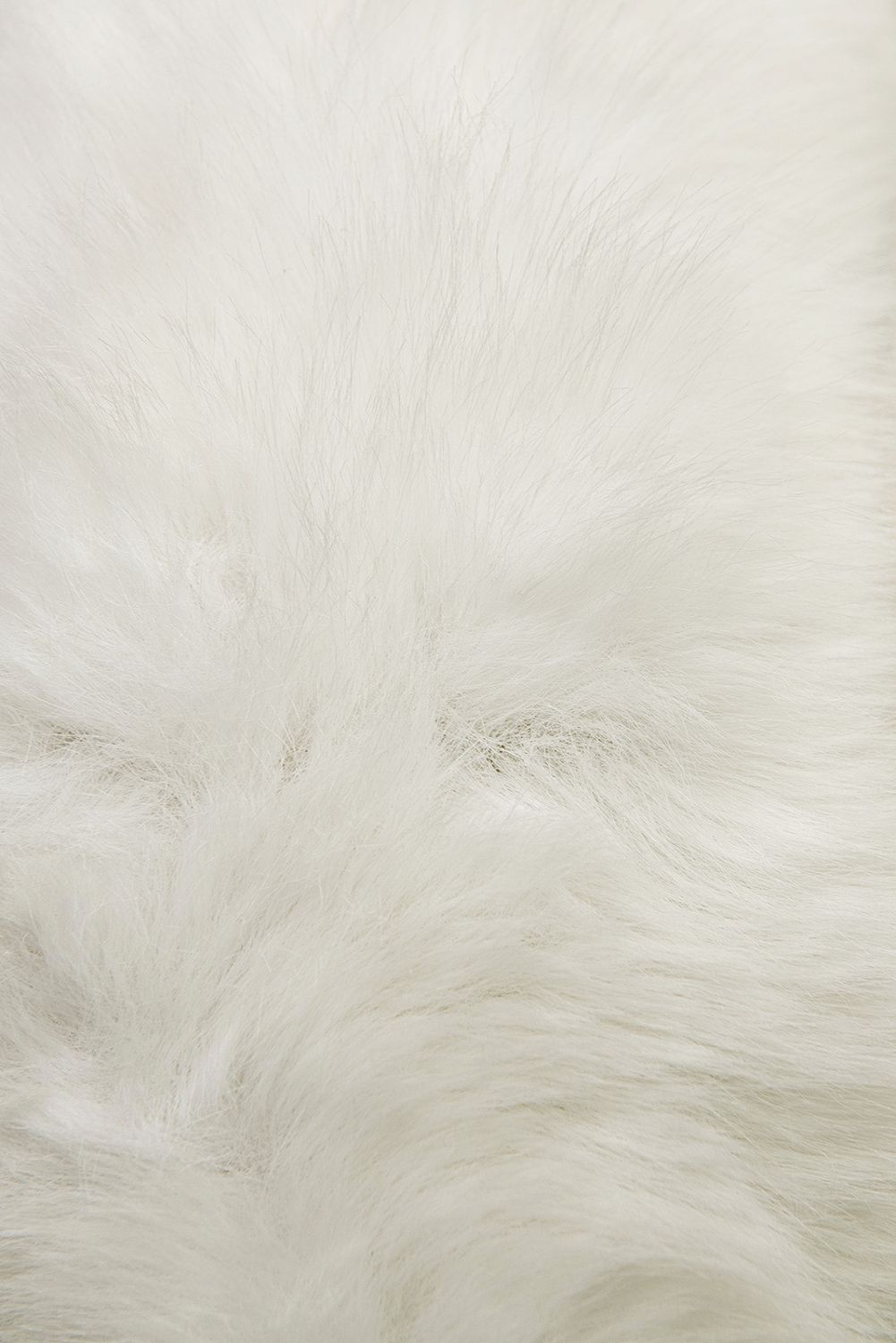 Zimska jakna s pasom in krznom bela