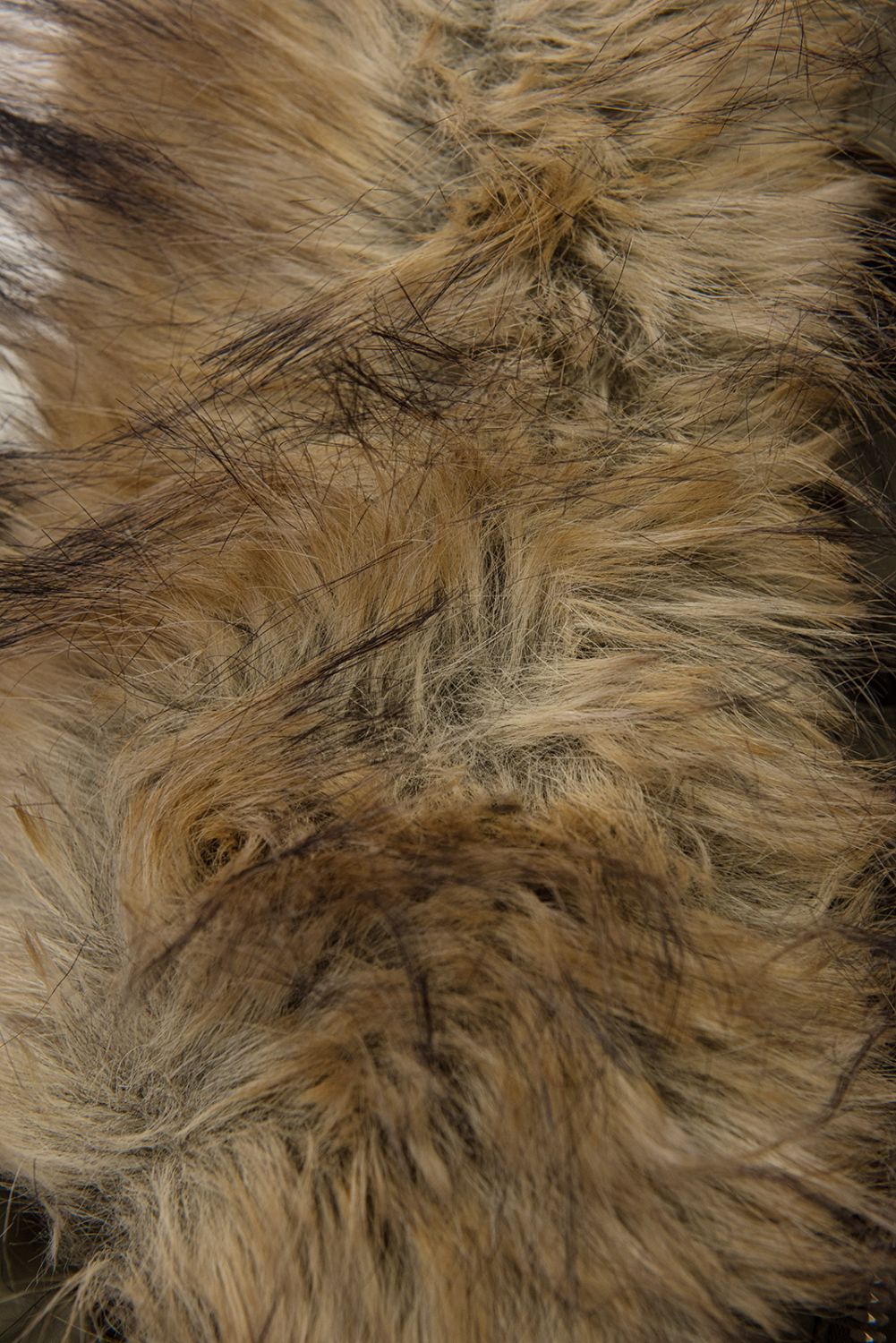 Prešita zimska bunda s podaljšanim hrbtnim delom, rjava