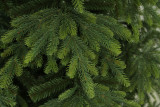 Umetno drevo Smreka NATURA 180 cm