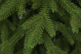 Umetno drevo Naravna smreka 220 cm